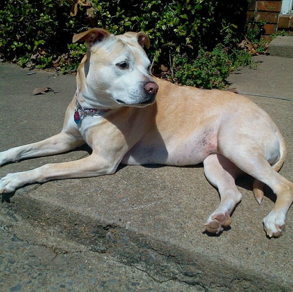 Meet your Posher, Terry - Picture 1 of 1